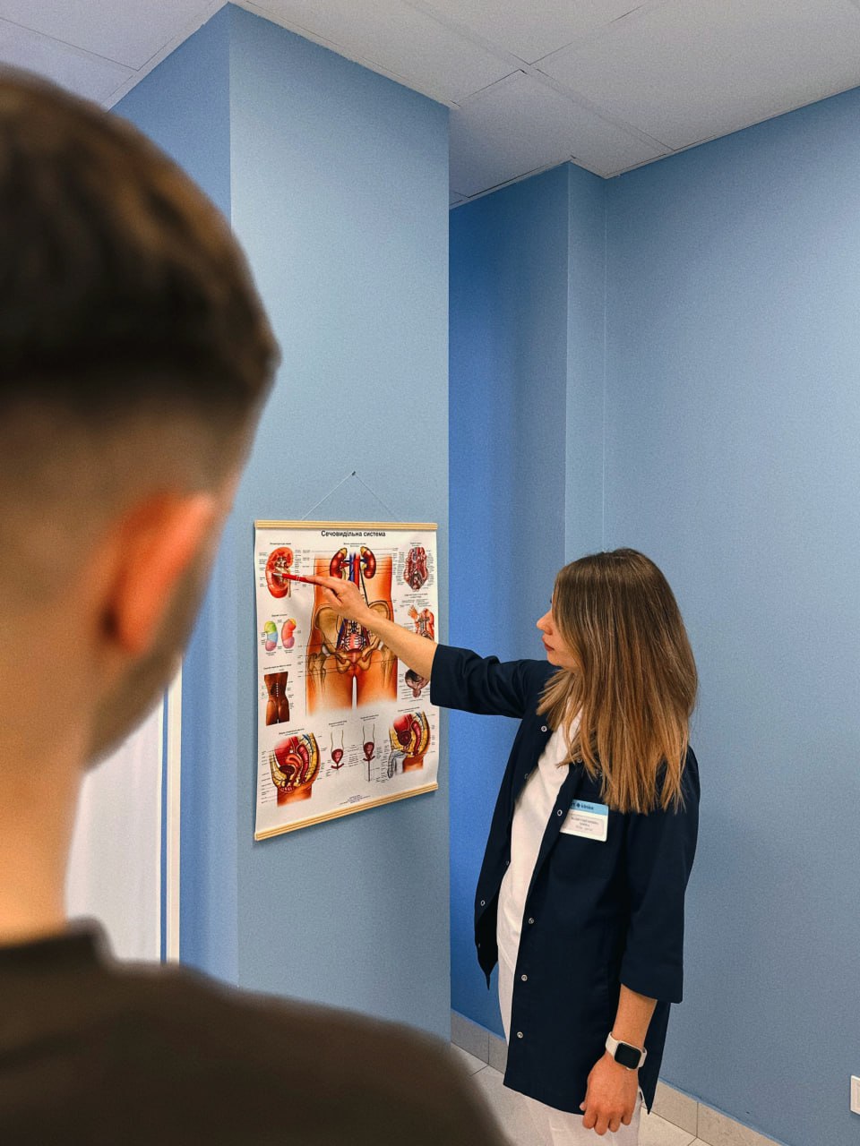 Лікар пояснює чоловічу анатомію пацієнту